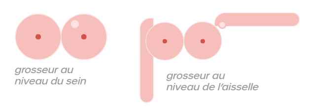 Observez vos seins ! | Vivre comme avant